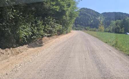 Cesta Vitanje-Paka